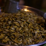 Fried Silkworm - Kevin Longa - kevinlonga.com