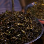 Fried Cricket, Pepper and Onion - Kevin Longa - kevinlonga.com