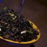 Fried Insect of the Orthopteran Order - Kevin Longa - kevinlonga.com