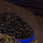 Fried Beetle - Kevin Longa - kevinlonga.com