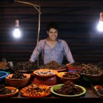 Kevin Longa standing behind Cambodian Insects