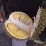 Durian from Johor Bahru, Malaysia