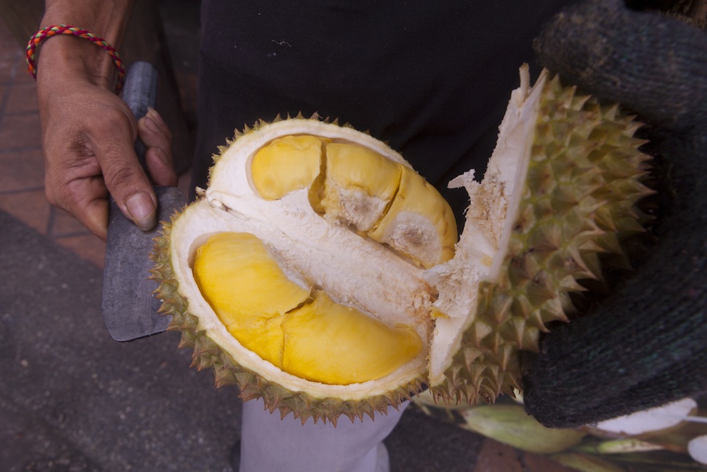 Durian from Johor Bahru, Malaysia