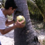 Kevin Longa knocking a coconut against a tree - #FoodEntrepreneur Friday: Fail Until You Succeed, Try Not to Go (Coco)Nuts